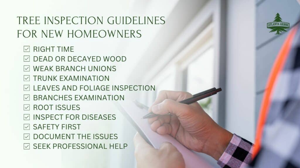 Professionelle FLL-Baumkontrolle